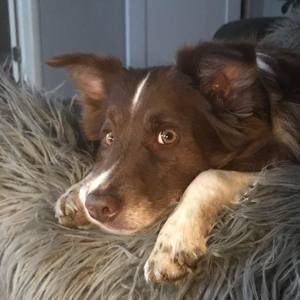 Meet your Posher, Deb